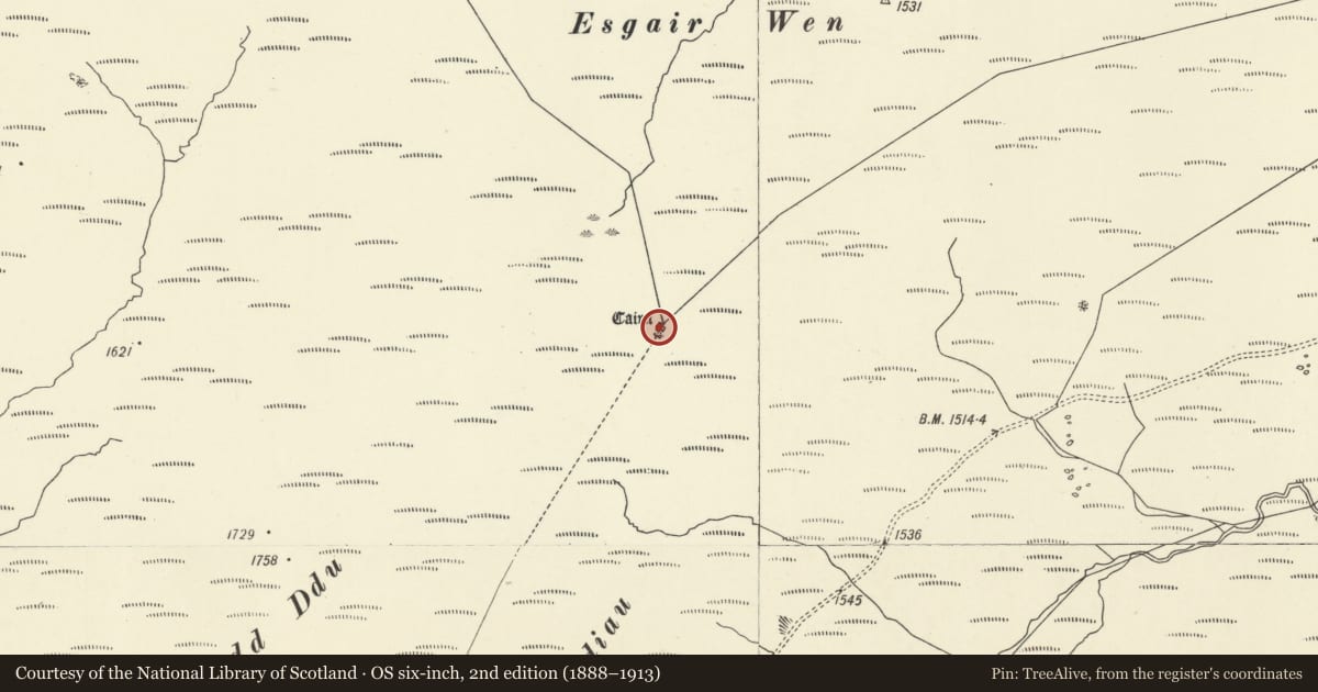 Ordnance Survey six-inch map, 2nd edition (1888–1913) covering the location of Carn Fach, Esgair Wen, Llangurig, Powys, with a pin at the register's coordinates
