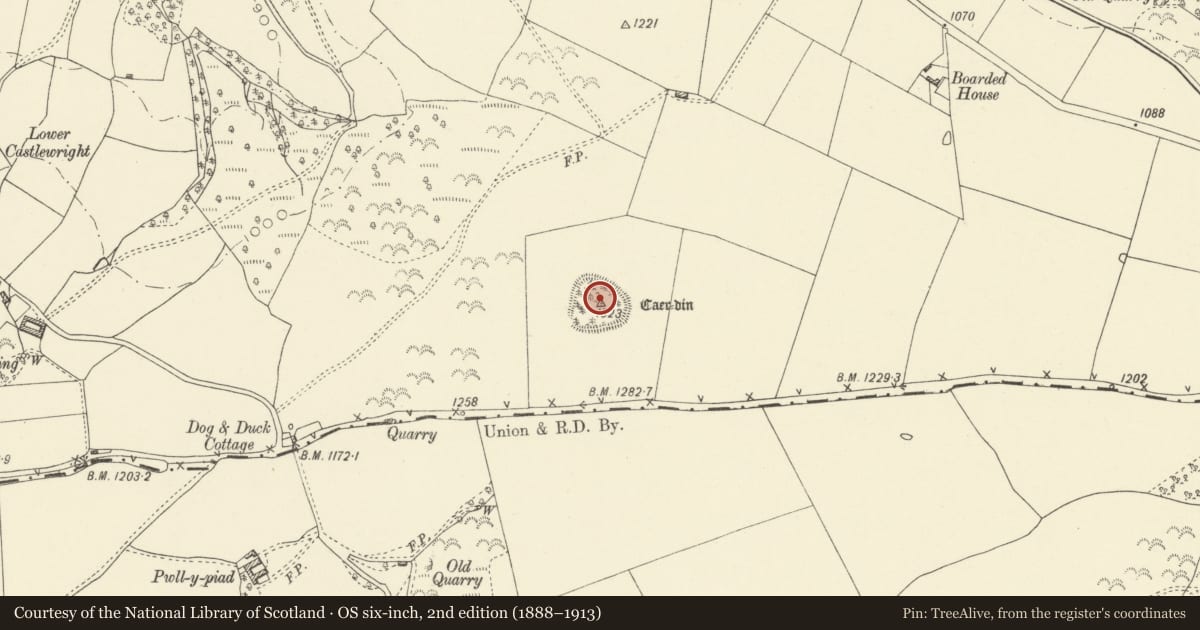 Ordnance Survey six-inch map, 2nd edition (1888–1913) covering the location of Caer-Din, Churchstoke, Powys, with a pin at the register's coordinates