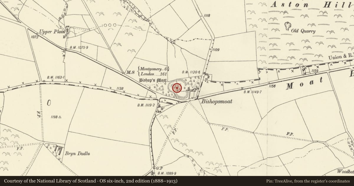Ordnance Survey six-inch map, 2nd edition (1888–1913) covering the location of Bishop's Moat Mound & Bailey Castle, Churchstoke, Powys, with a pin at the register's coordinates