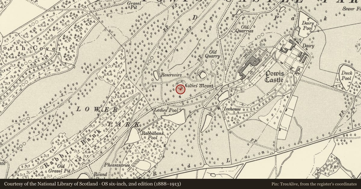 Ordnance Survey six-inch map, 2nd edition (1888–1913) covering the location of Mount in Powis Castle Park, Welshpool, Powys, with a pin at the register's coordinates