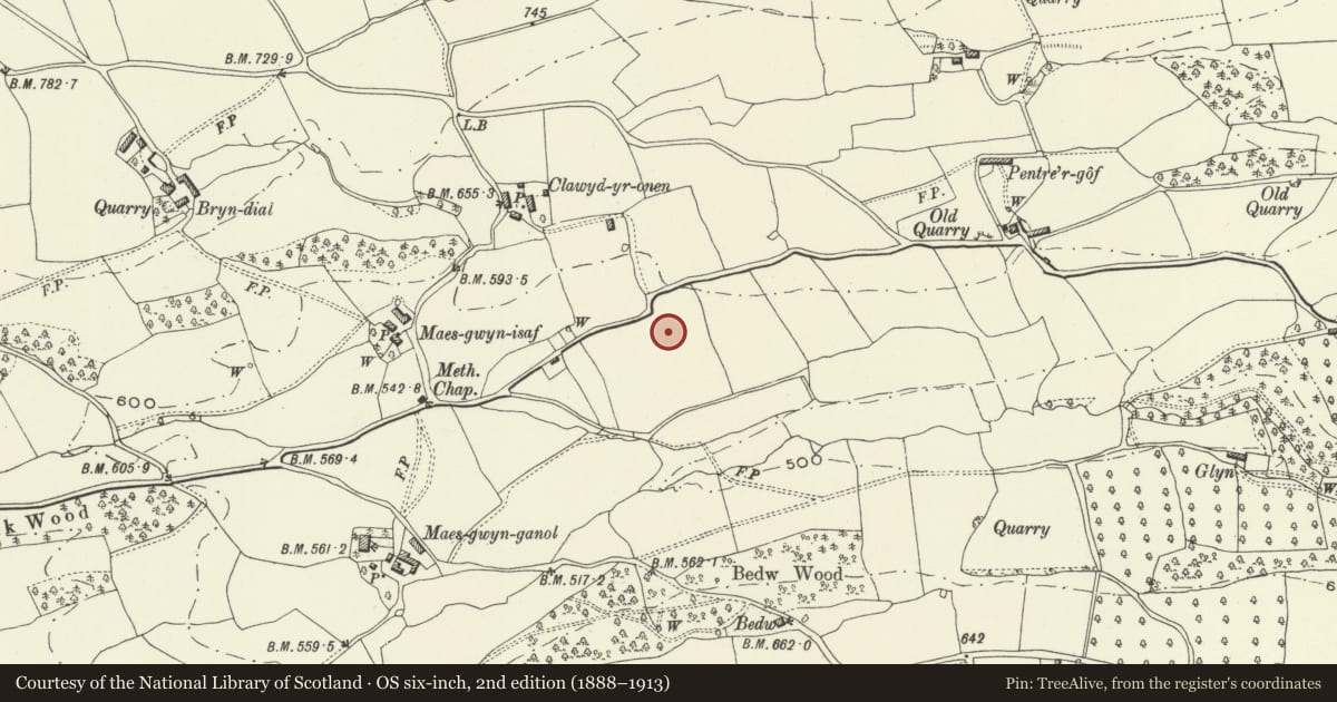 Ordnance Survey six-inch map, 2nd edition (1888–1913) covering the location of Round Barrow 225m SE of Clwyd-yr-onen, Meifod, Powys, with a pin at the register's coordinates