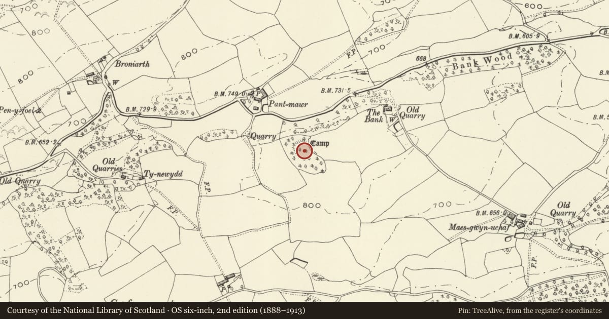Ordnance Survey six-inch map, 2nd edition (1888–1913) covering the location of Camp 135m SE of Pant Mawr, Meifod, Powys, with a pin at the register's coordinates