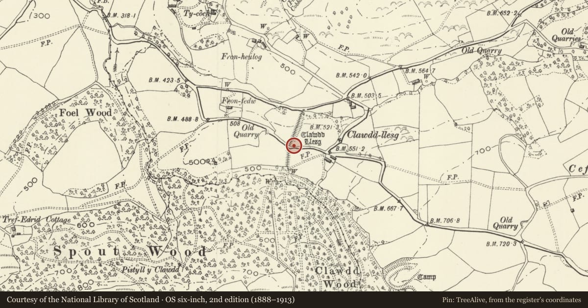 Ordnance Survey six-inch map, 2nd edition (1888–1913) covering the location of Clawdd Llesg, Meifod, Powys, with a pin at the register's coordinates
