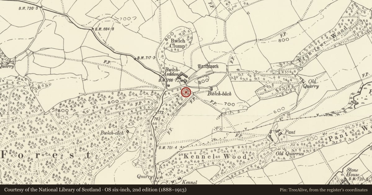 Ordnance Survey six-inch map, 2nd edition (1888–1913) covering the location of Bwlch Aeddan Dyke, Guilsfield, Powys, with a pin at the register's coordinates