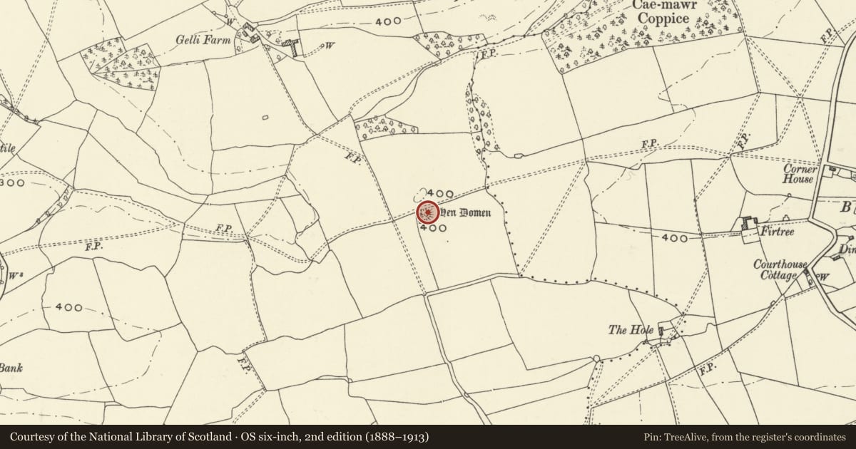 Ordnance Survey six-inch map, 2nd edition (1888–1913) covering the location of Hen Domen, Llansantffraid, Powys, with a pin at the register's coordinates