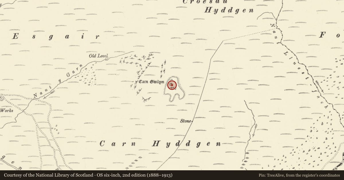 Ordnance Survey six-inch map, 2nd edition (1888–1913) covering the location of Carn Gwilym Round Cairns, Cadfarch, Powys, with a pin at the register's coordinates