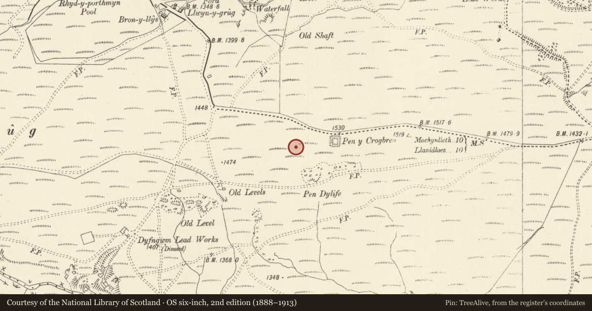 Ordnance Survey six-inch map, 2nd edition (1888–1913) covering the location of Pen y Crogben Round Barrow, Llanbrynmair, Powys, with a pin at the register's coordinates