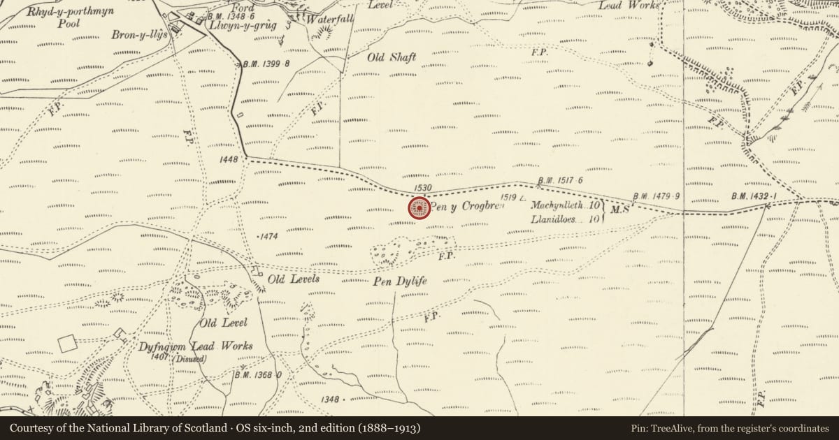 Ordnance Survey six-inch map, 2nd edition (1888–1913) covering the location of Pen y Crogben Earthwork, Llanbrynmair, Powys, with a pin at the register's coordinates