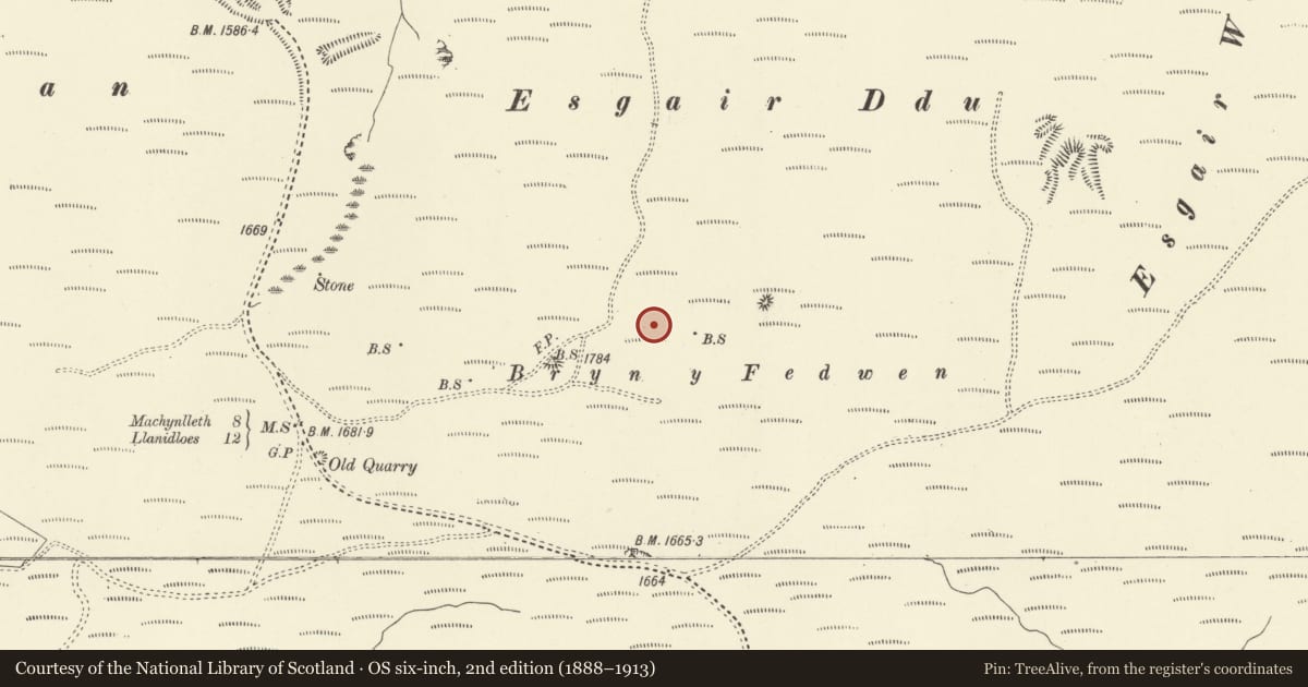 Ordnance Survey six-inch map, 2nd edition (1888–1913) covering the location of Bryn y Fedwen Round Barrows, Llanbrynmair, Powys, with a pin at the register's coordinates