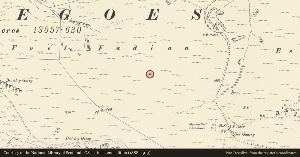 Ordnance Survey six-inch map, 2nd edition (1888–1913) covering the location of Foel Fadian Round Barrow, Cadfarch, Powys, with a pin at the register's coordinates