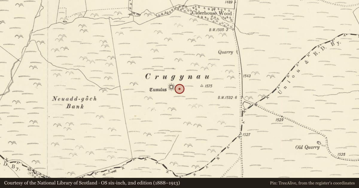 Ordnance Survey six-inch map, 2nd edition (1888–1913) covering the location of Round Barrow S of Ciderhouse Wood, Kerry, Powys, with a pin at the register's coordinates