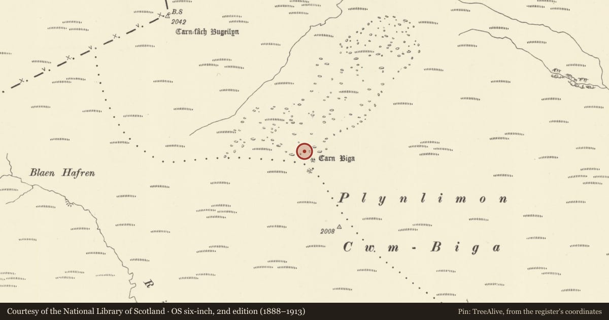 Ordnance Survey six-inch map, 2nd edition (1888–1913) covering the location of Carn Biga, Pumlumon Fawr/Plynlimon, Trefeglwys, Powys, with a pin at the register's coordinates