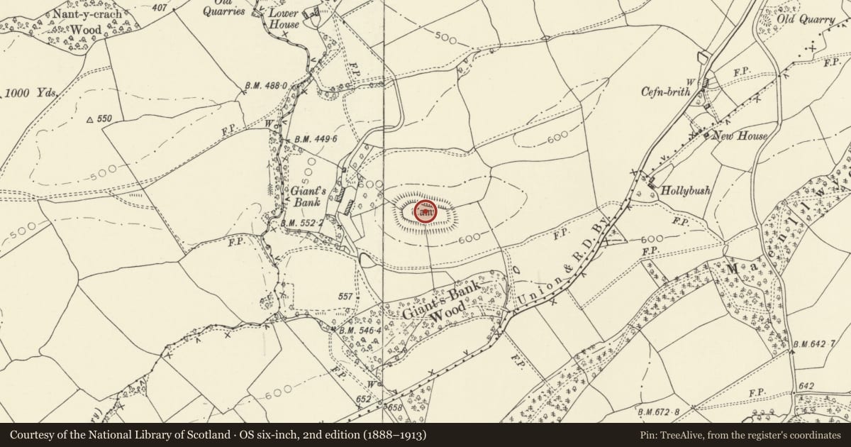 Ordnance Survey six-inch map, 2nd edition (1888–1913) covering the location of Giant's Bank Camp, Llandyssil, Powys, with a pin at the register's coordinates