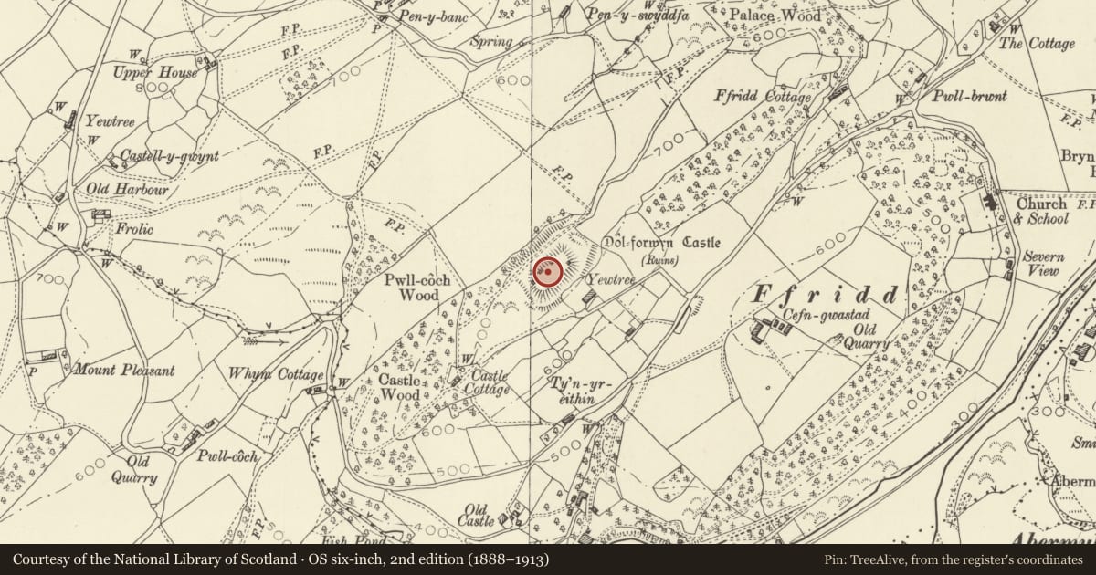 Ordnance Survey six-inch map, 2nd edition (1888–1913) covering the location of Castell Dolforwyn, Llandyssil, Powys, with a pin at the register's coordinates