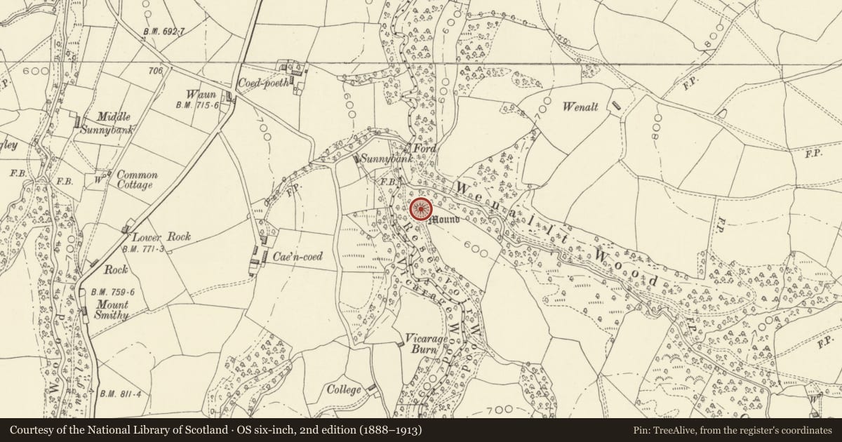 Ordnance Survey six-inch map, 2nd edition (1888–1913) covering the location of Neuadd Goch Castle Mound, Kerry, Powys, with a pin at the register's coordinates