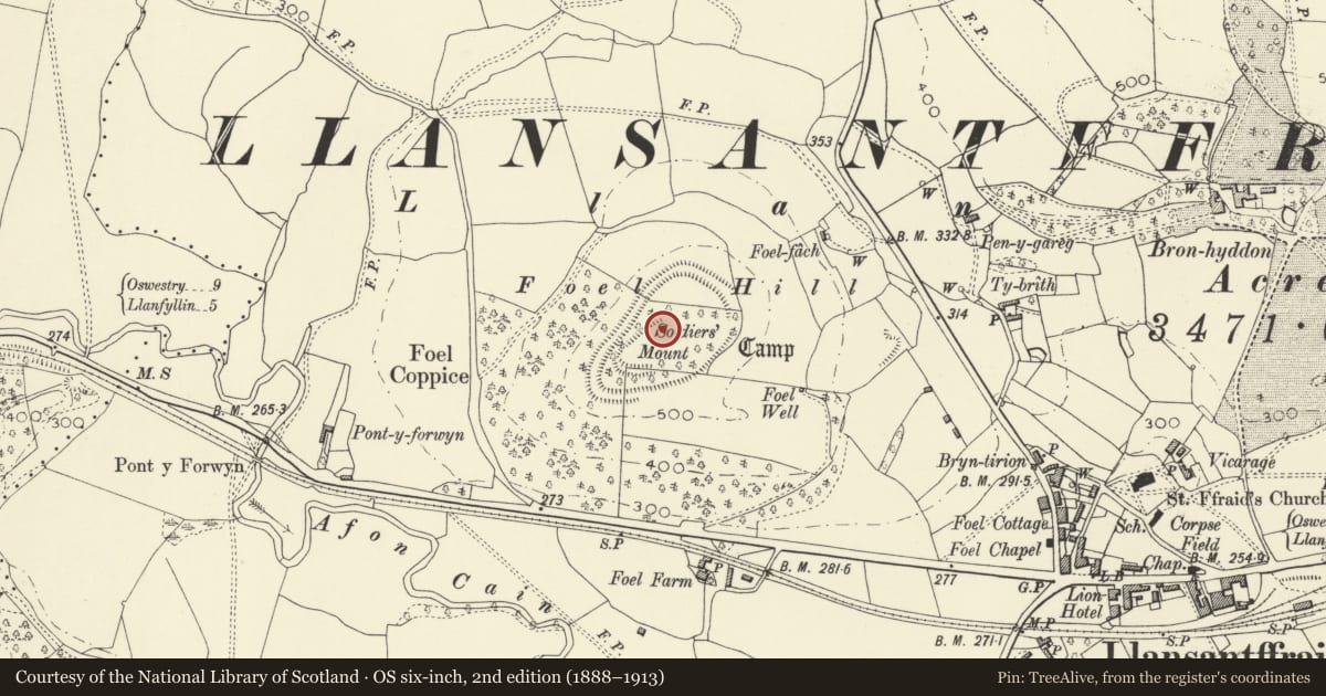 Ordnance Survey six-inch map, 2nd edition (1888–1913) covering the location of Soldier's Mount, Llansantffraid, Powys, with a pin at the register's coordinates
