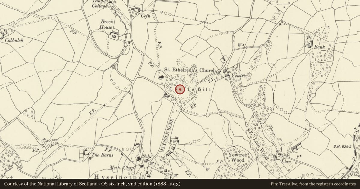 Ordnance Survey six-inch map, 2nd edition (1888–1913) covering the location of Hyssington Mound & Bailey Castle, Churchstoke, Powys, with a pin at the register's coordinates