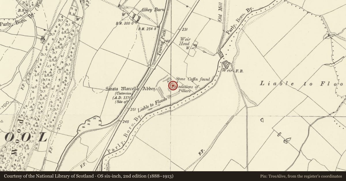 Ordnance Survey six-inch map, 2nd edition (1888–1913) covering the location of Strata Marcella Abbey, Welshpool, Powys, with a pin at the register's coordinates