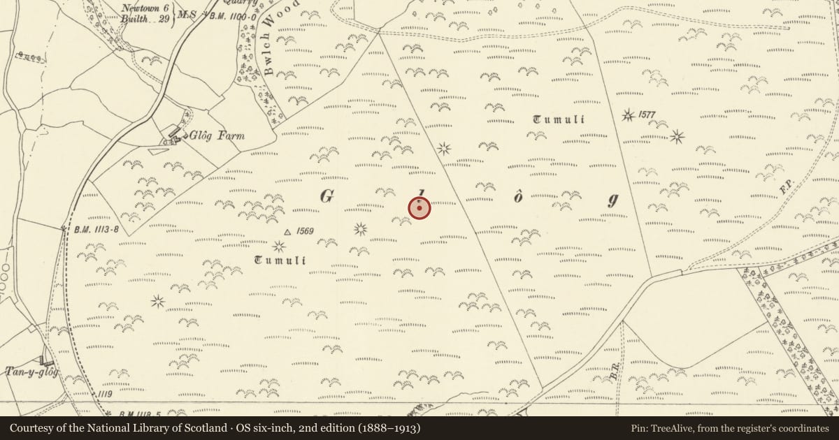 Ordnance Survey six-inch map, 2nd edition (1888–1913) covering the location of Glog Round Barrows, Kerry, Powys, with a pin at the register's coordinates