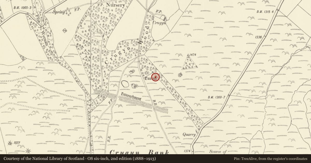 Ordnance Survey six-inch map, 2nd edition (1888–1913) covering the location of Crugyn Round Barrows, Kerry, Powys, with a pin at the register's coordinates