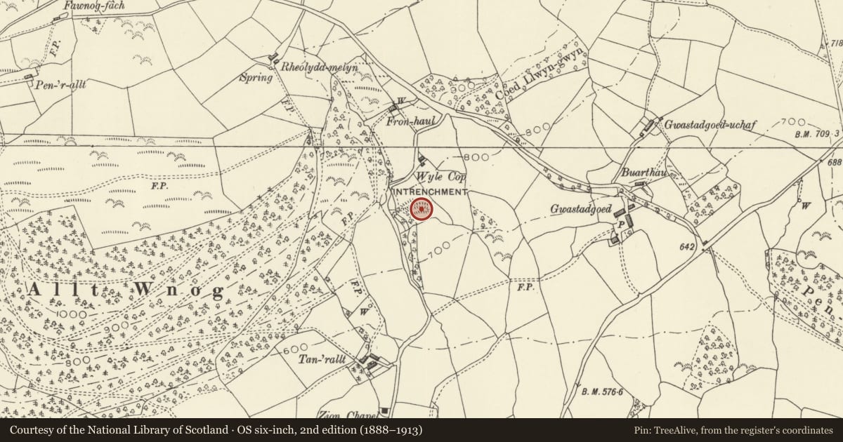 Ordnance Survey six-inch map, 2nd edition (1888–1913) covering the location of Wyle Cop Camp, Caersws, Powys, with a pin at the register's coordinates