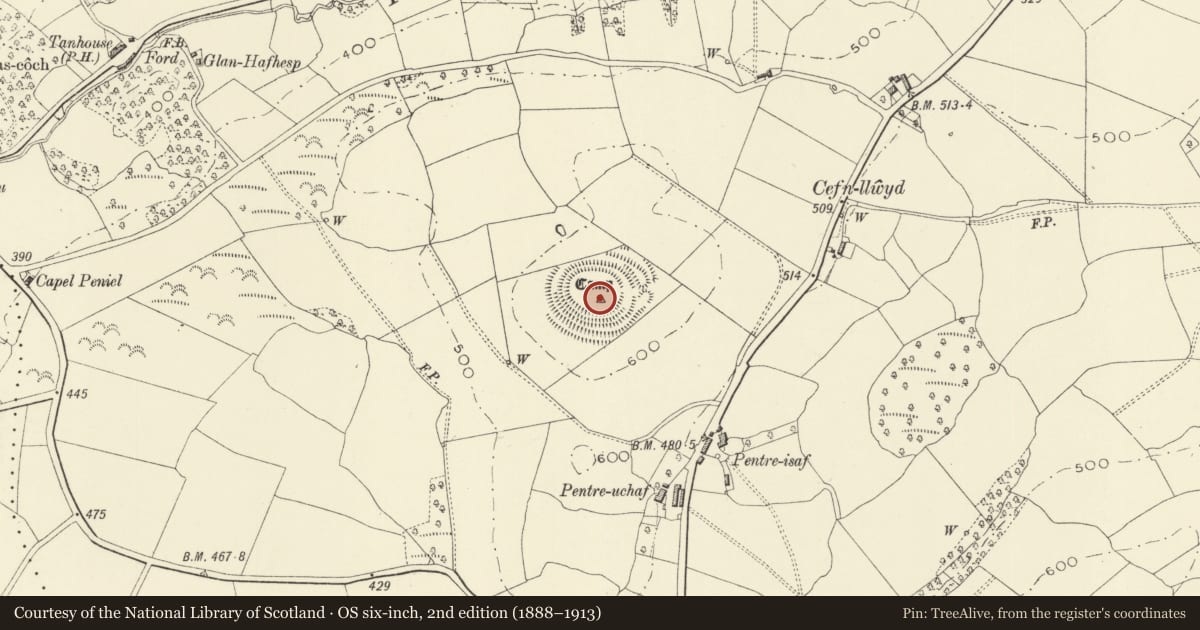 Ordnance Survey six-inch map, 2nd edition (1888–1913) covering the location of Pentre Camp, Llangyniew, Powys, with a pin at the register's coordinates