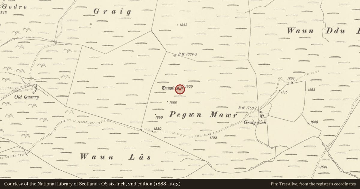 Ordnance Survey six-inch map, 2nd edition (1888–1913) covering the location of Pegwn Mawr Round Barrows, Llandinam, Powys, with a pin at the register's coordinates
