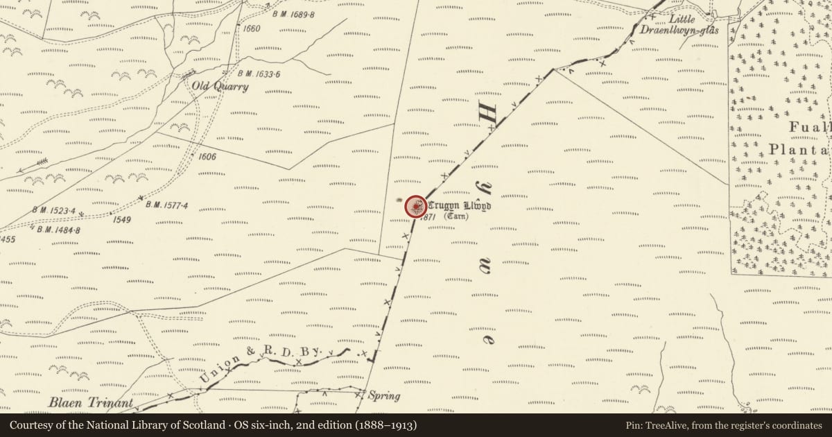 Ordnance Survey six-inch map, 2nd edition (1888–1913) covering the location of Crugyn Llwyd, Llandinam, Powys, with a pin at the register's coordinates