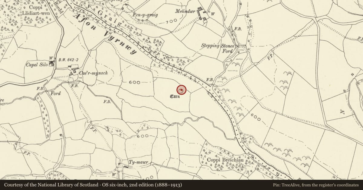 Ordnance Survey six-inch map, 2nd edition (1888–1913) covering the location of Cae'r-Mynach Round Cairn, Banwy, Powys, with a pin at the register's coordinates