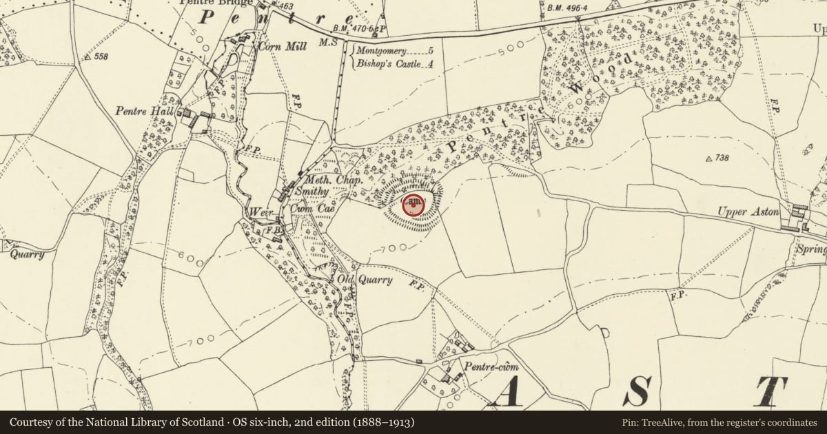 Ordnance Survey six-inch map, 2nd edition (1888–1913) covering the location of Pentre Camp, Churchstoke, Powys, with a pin at the register's coordinates