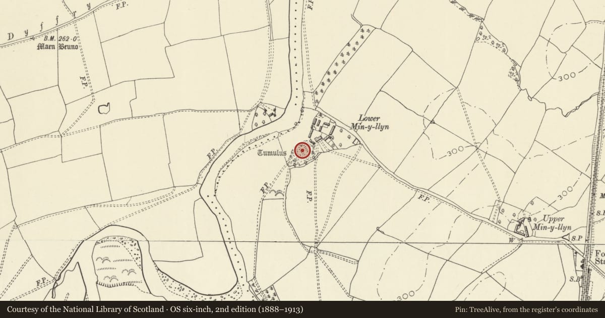 Ordnance Survey six-inch map, 2nd edition (1888–1913) covering the location of Lower Min-y-Llyn Castle Mound, Forden with Leighton and Trelystan, Powys, with a pin at the register's coordinates