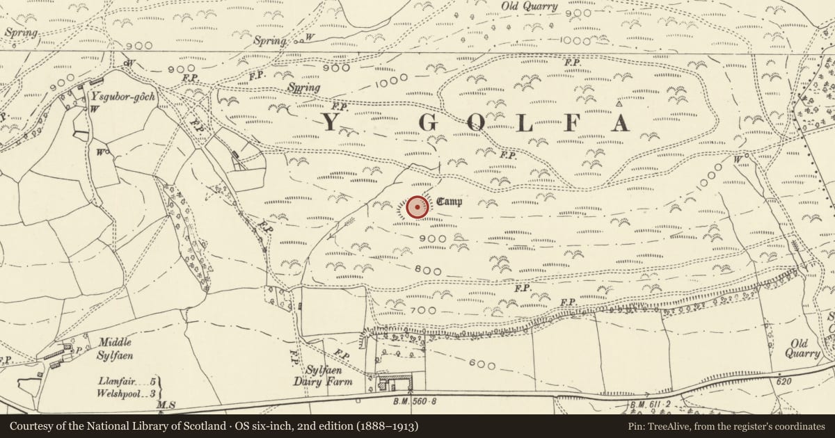 Ordnance Survey six-inch map, 2nd edition (1888–1913) covering the location of Y Golfa Camp, Castle Caereinion, Powys, with a pin at the register's coordinates