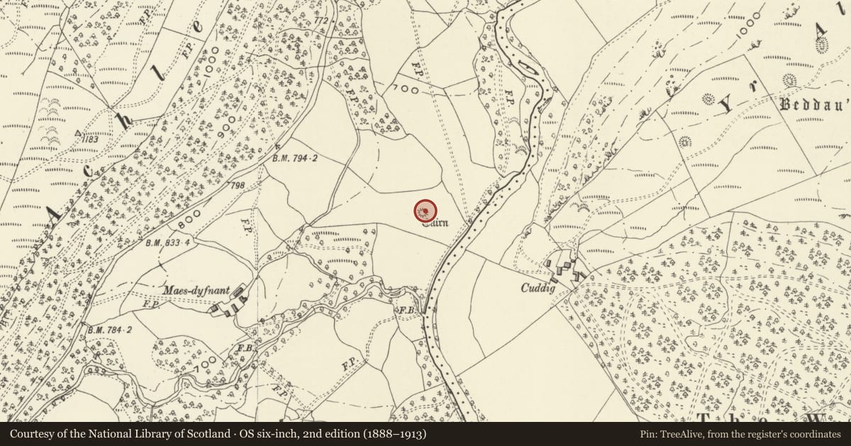 Ordnance Survey six-inch map, 2nd edition (1888–1913) covering the location of Maes Dyfnant Round Cairn, Llanwddyn, Powys, with a pin at the register's coordinates