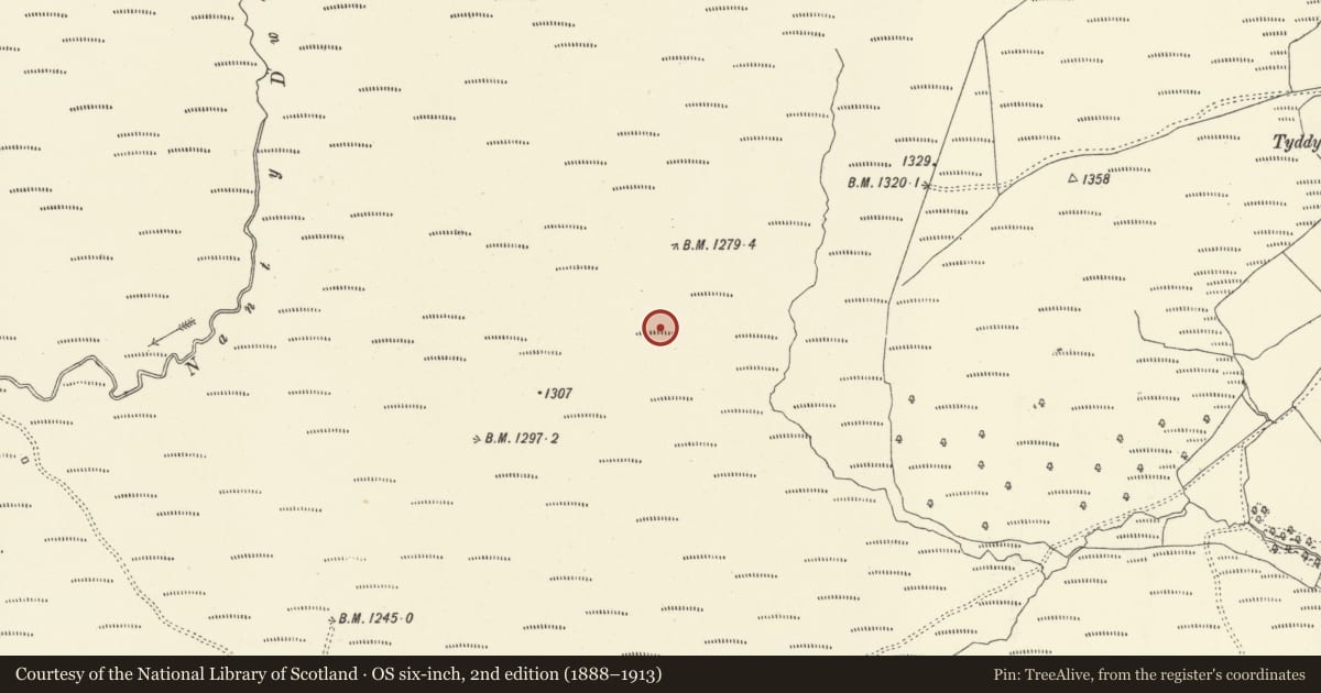 Ordnance Survey six-inch map, 2nd edition (1888–1913) covering the location of Mynydd Dyfnant Stone Alignment, Banwy, Powys, with a pin at the register's coordinates