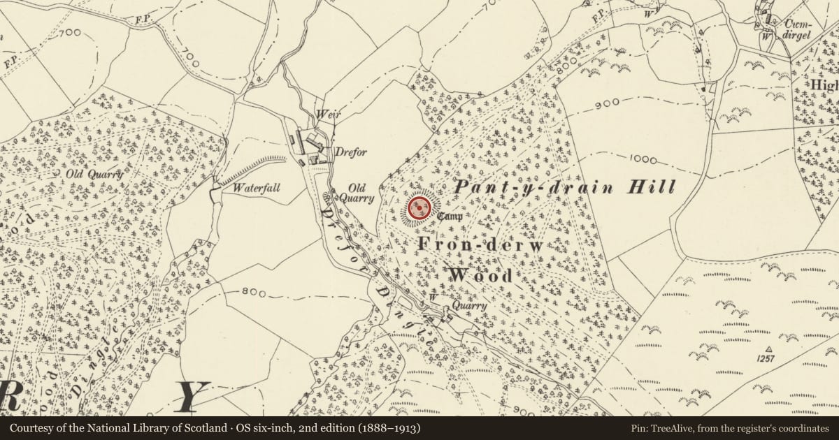 Ordnance Survey six-inch map, 2nd edition (1888–1913) covering the location of Fron Derw Wood Camp, Kerry, Powys, with a pin at the register's coordinates