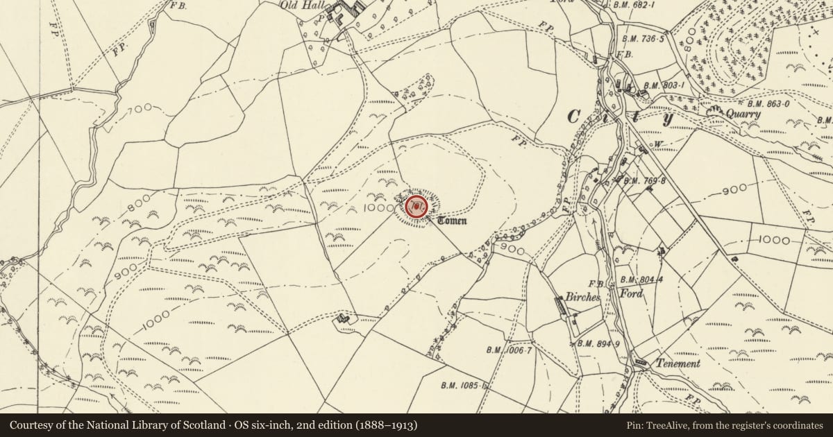 Ordnance Survey six-inch map, 2nd edition (1888–1913) covering the location of Camp S of Old Hall Sarn, Kerry, Powys, with a pin at the register's coordinates