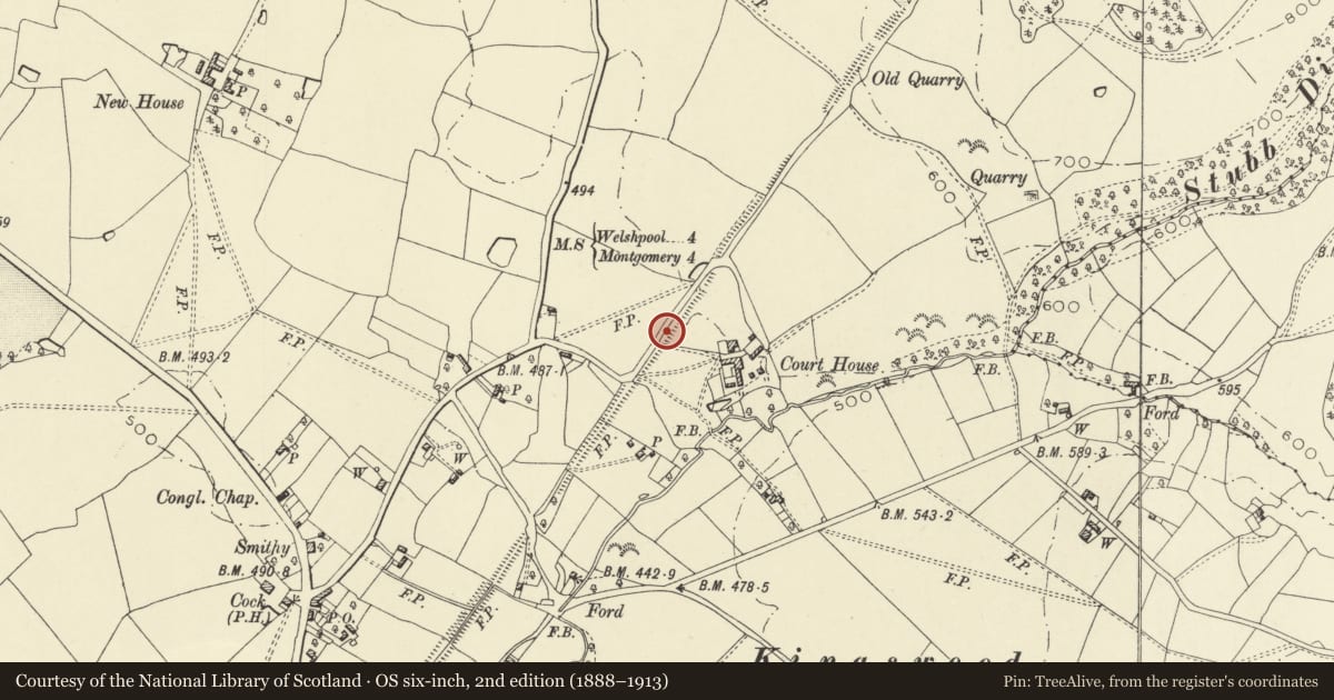 Ordnance Survey six-inch map, 2nd edition (1888–1913) covering the location of Offa's Dyke: Section W of Court House Farm, Forden with Leighton and Trelystan, Powys, with a pin at the register's coordinates