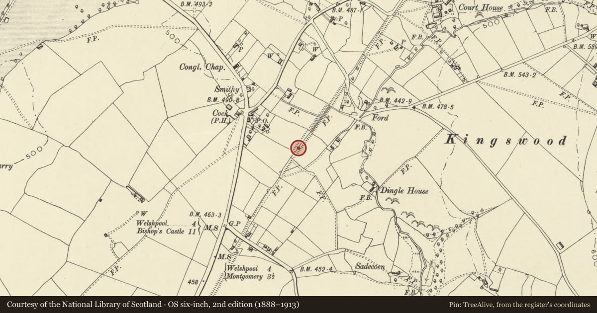 Ordnance Survey six-inch map, 2nd edition (1888–1913) covering the location of Offa's Dyke: Section NE of Welshpool-Churchstoke Road, Forden with Leighton and Trelystan, Powys, with a pin at the register's coordinates