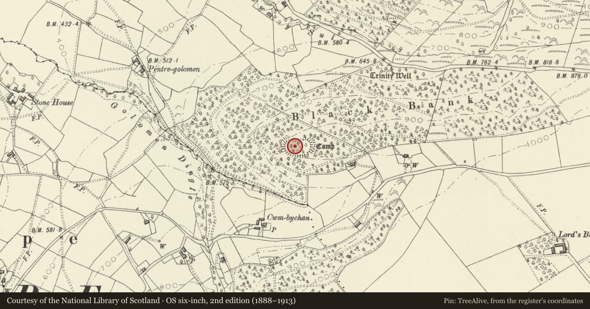 Ordnance Survey six-inch map, 2nd edition (1888–1913) covering the location of Black Bank Camp, Trewern, Powys, with a pin at the register's coordinates