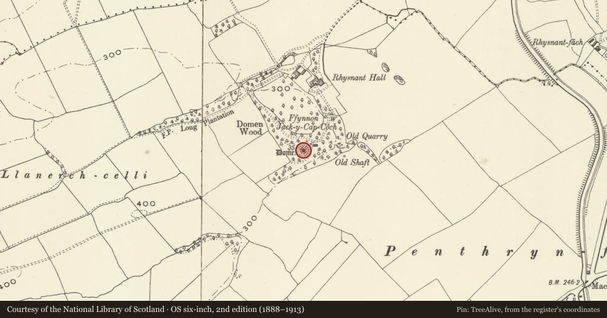 Ordnance Survey six-inch map, 2nd edition (1888–1913) covering the location of Rhysnant Hall Castle Mound, Llandysilio, Powys, with a pin at the register's coordinates