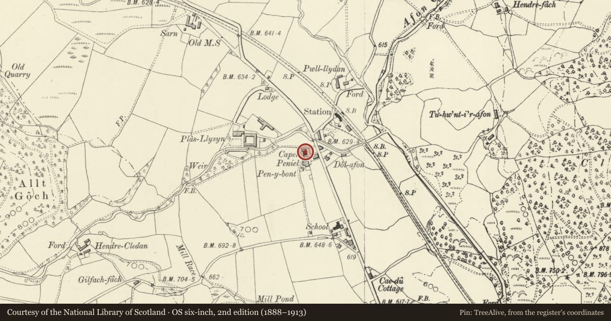 Ordnance Survey six-inch map, 2nd edition (1888–1913) covering the location of Cross-Incised Stone (Now in Carno Church), Powys, with a pin at the register's coordinates