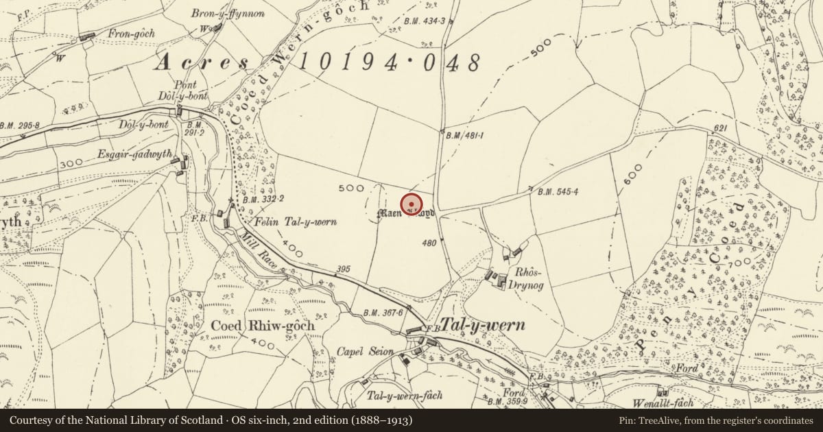 Ordnance Survey six-inch map, 2nd edition (1888–1913) covering the location of Rhos-Dyrnog Standing Stone, Glantwymyn, Powys, with a pin at the register's coordinates