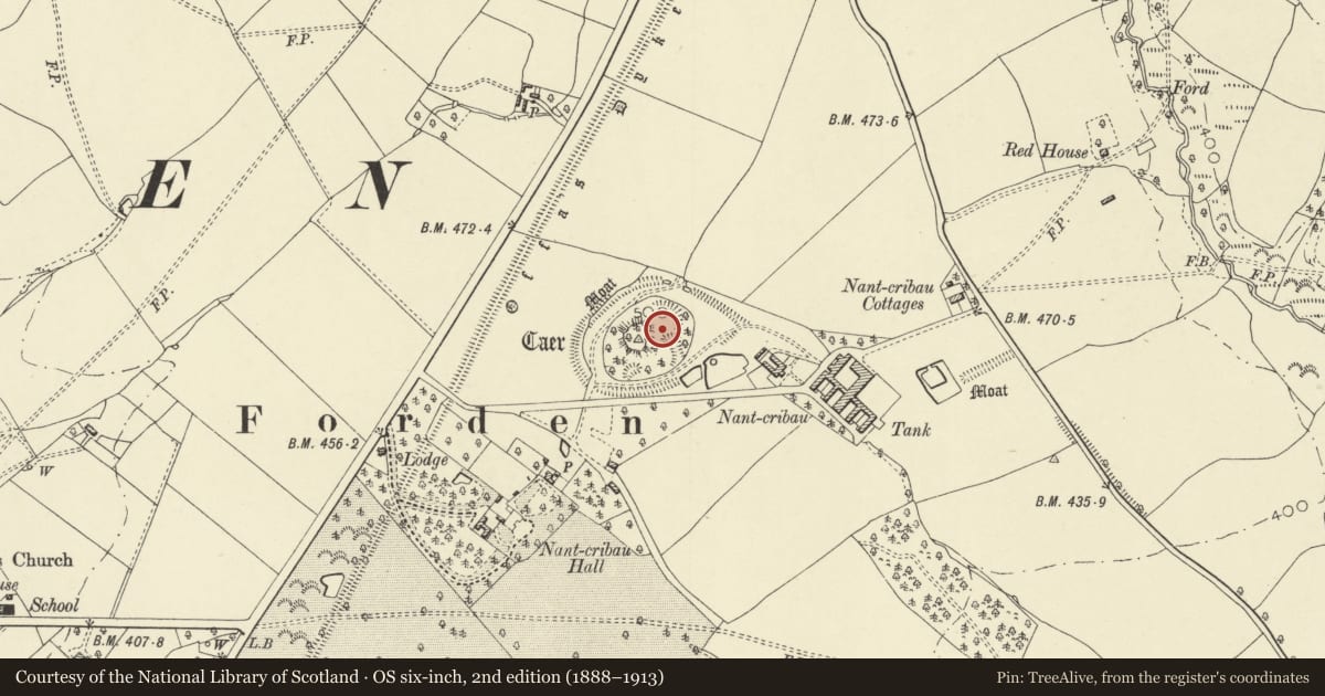 Ordnance Survey six-inch map, 2nd edition (1888–1913) covering the location of Nant-Cribau Castle Mound, Forden with Leighton and Trelystan, Powys, with a pin at the register's coordinates