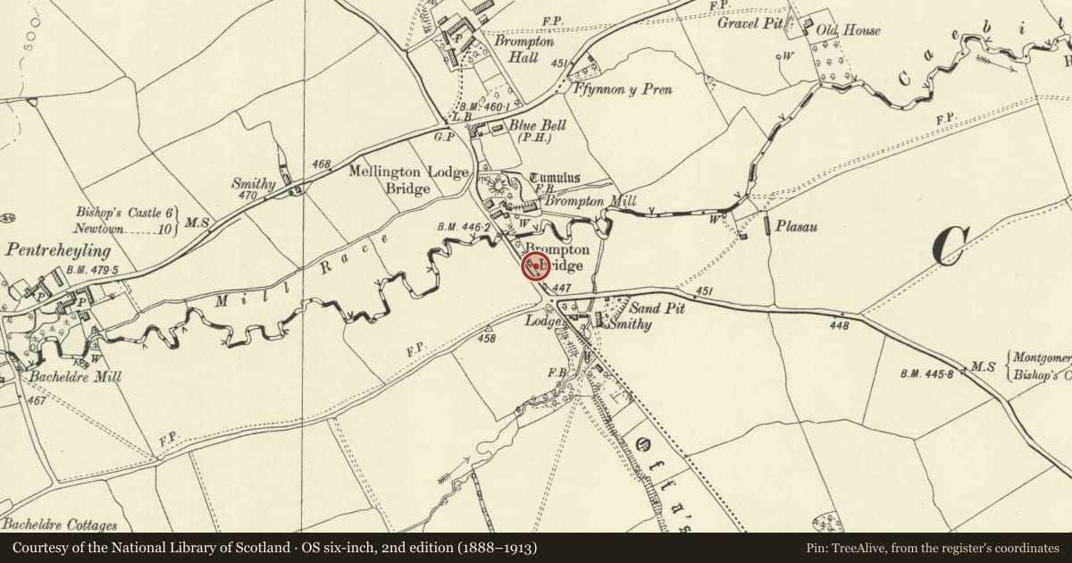 Ordnance Survey six-inch map, 2nd edition (1888–1913) covering the location of Linear Earthwork, Churchstoke, Powys, with a pin at the register's coordinates