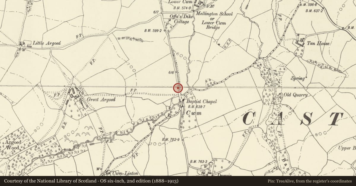 Ordnance Survey six-inch map, 2nd edition (1888–1913) covering the location of Offa's Dyke: Cwm Section, Churchstoke, Powys, with a pin at the register's coordinates