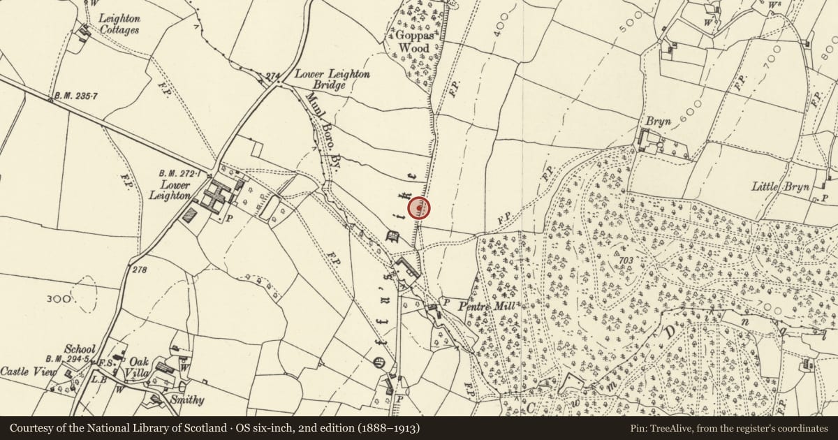Ordnance Survey six-inch map, 2nd edition (1888–1913) covering the location of Offa's Dyke: Sections extending 675m S from centre of Goppas Wood, Trewern, Powys, with a pin at the register's coordinates