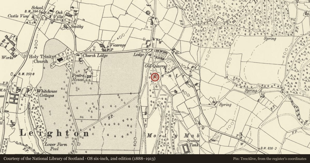 Ordnance Survey six-inch map, 2nd edition (1888–1913) covering the location of Offa's Dyke: Pentre Section, Forden with Leighton and Trelystan, Powys, with a pin at the register's coordinates