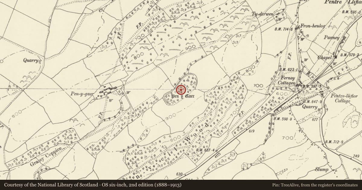 Ordnance Survey six-inch map, 2nd edition (1888–1913) covering the location of Pen-y-Gaer Camp, Bettws, Powys, with a pin at the register's coordinates