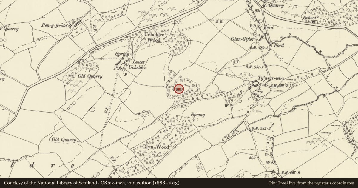Ordnance Survey six-inch map, 2nd edition (1888–1913) covering the location of Ucheldre Camp, Bettws, Powys, with a pin at the register's coordinates