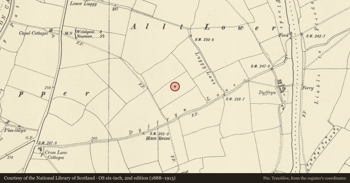Ordnance Survey six-inch map, 2nd edition (1888–1913) covering the location of Dyffryn Lane Ring Ditches & Pit Alignments (Formerly Dyffryn Lane Round Barrow), Berriew, Powys, with a pin at the register's coordinates